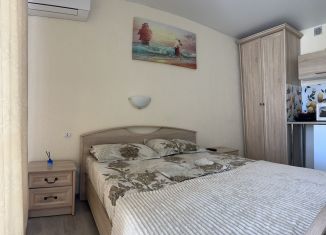 Аренда 1-комнатной квартиры, 25 м2, Крым, переулок Танкистов, 18