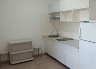 Сдам квартиру студию, 19 м2, Санкт-Петербург, Муринская дорога, 10к1, Красногвардейский район