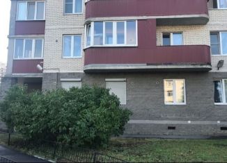 2-комнатная квартира в аренду, 58 м2, Санкт-Петербург, Гжатская улица, 5к3, муниципальный округ Гражданка