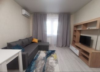 Квартира в аренду студия, 25 м2, Краснодарский край, улица Красина, 53к5