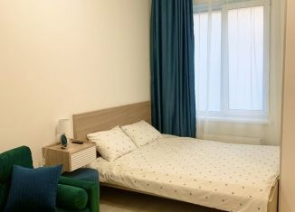 Сдается квартира студия, 28 м2, Санкт-Петербург, Тосина улица, 6