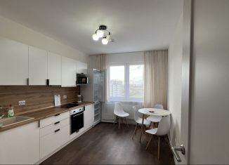 Сдается 3-комнатная квартира, 60 м2, Санкт-Петербург, Муринская дорога, 8к1