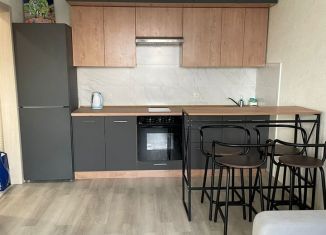 Продам квартиру студию, 24 м2, Алтайский край, Павловский тракт, 307к5