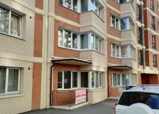 Продажа квартиры студии, 51 м2, Иркутск, улица Бородина, 4