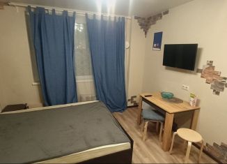 Сдаю в аренду квартиру студию, 18 м2, Московский, улица Бианки, 11