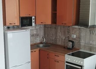 Квартира в аренду студия, 26 м2, Балашиха, проспект Героев, 17