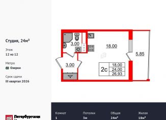 Квартира на продажу студия, 24 м2, Санкт-Петербург, метро Озерки