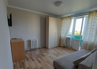 Сдача в аренду 2-комнатной квартиры, 31 м2, Пионерский, Флотская улица, 10