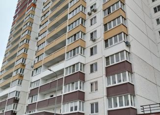 Сдаю в аренду квартиру студию, 26 м2, Ростов-на-Дону, улица Висаитова, 10/9, Октябрьский район