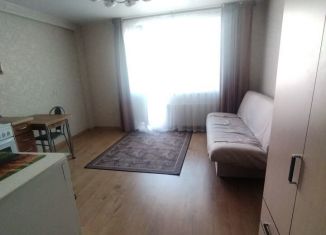 Сдам квартиру студию, 28 м2, Мурино, Екатерининская улица, 12