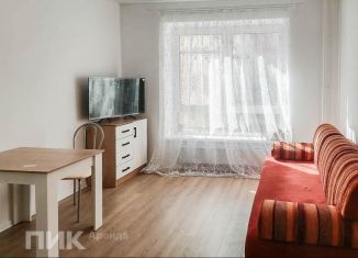 Сдача в аренду квартиры студии, 19.6 м2, Московская область, Лесная улица, 12