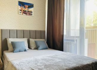 Сдается квартира студия, 30 м2, Красноярский край, улица Борисова, 42