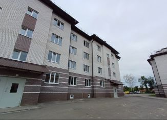 Продаю 1-комнатную квартиру, 29 м2, Кстово, улица Герцена, 6