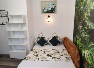 Сдается квартира студия, 12 м2, Крым, улица Щербака, 9