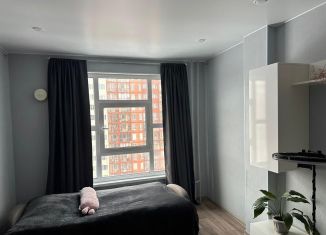 Сдается в аренду квартира студия, 27 м2, Мурино, улица Шоссе в Лаврики, ЖК Муринское-1