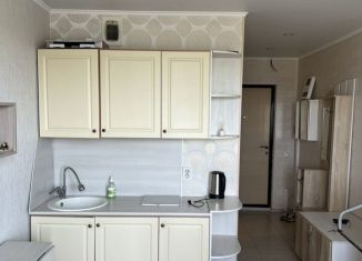 Квартира в аренду студия, 17 м2, Тюмень, улица Новосёлов, 117