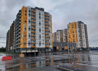 Продажа квартиры студии, 24.8 м2, городской посёлок Новоселье, Красносельское шоссе, 10