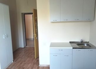 Аренда квартиры студии, 18 м2, Благовещенск, Театральная улица, 199