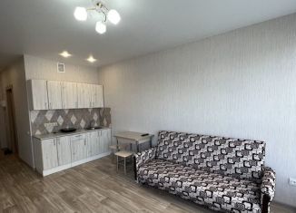 Сдается квартира студия, 27 м2, Ульяновск, улица Аблукова, 18