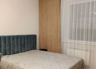 Квартира в аренду студия, 30 м2, Новосибирск, улица Добролюбова, 16/1