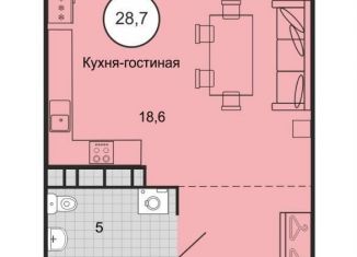 Продается квартира студия, 28.7 м2, Михайловск, Князевский переулок, 91