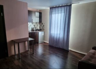 Сдам в аренду квартиру студию, 17 м2, Алтайский край, улица Никитина, 171