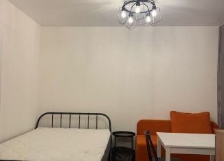 Квартира в аренду студия, 25.5 м2, Мурино, проспект Авиаторов Балтики, 29к2