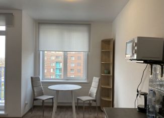 Квартира в аренду студия, 30 м2, Пермь, Сапфирная улица, 16