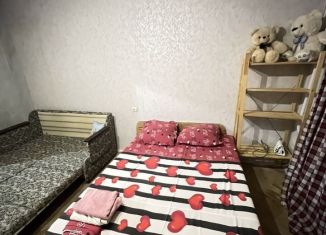 Аренда 1-комнатной квартиры, 40 м2, Санкт-Петербург, Товарищеский проспект, 26к1