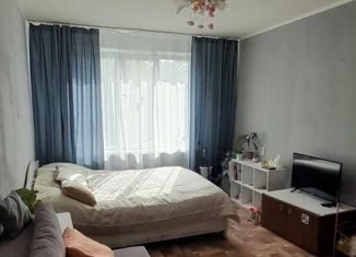 Сдается 1-комнатная квартира, 30 м2, Татарстан, проспект Мира, 69