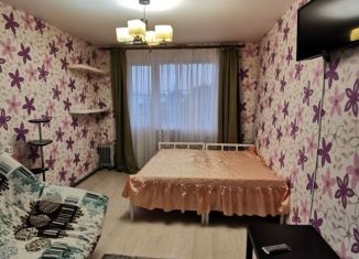 Сдается в аренду 1-ком. квартира, 33 м2, Казань, проспект Ибрагимова, 83