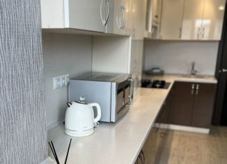 Сдаю в аренду 1-ком. квартиру, 40 м2, Таганрог, 1-й Новый переулок, 35