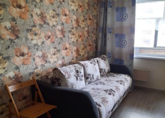 Сдается 2-ком. квартира, 48 м2, Екатеринбург, улица Новгородцевой