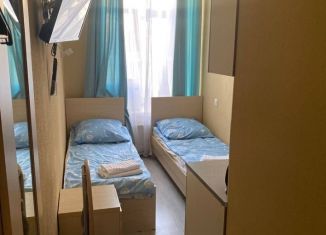 Аренда квартиры студии, 12 м2, Санкт-Петербург, Литейный проспект, 61