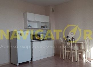 Аренда 1-комнатной квартиры, 30 м2, Уфа, Новороссийская улица, 1, ЖК Элегия