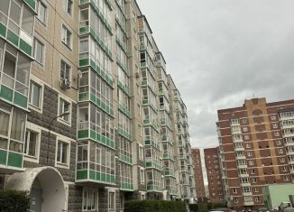 Продажа двухкомнатной квартиры, 55 м2, Красноярск, улица Молокова, 10, Советский район