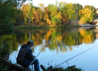 Продажа земельного участка, 19 сот., деревня Козьи Горы