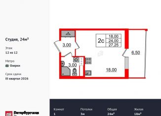 Продаю квартиру студию, 24 м2, Санкт-Петербург, метро Проспект Просвещения