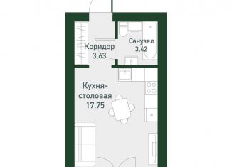 Продажа квартиры студии, 23.8 м2, Екатеринбург, метро Чкаловская