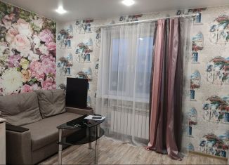 Квартира на продажу студия, 24 м2, Красноармейск, улица Морозова, 16