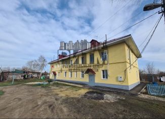 Продается 3-комнатная квартира, 55.4 м2, село Грабово, Майская улица, 16