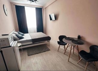 Продается квартира студия, 26 м2, Красноярский край, улица Сады, 6Г