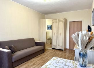 Сдается 1-ком. квартира, 40 м2, Тобольск, микрорайон 7А, 27