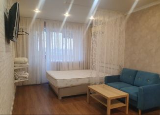 Сдается 1-ком. квартира, 30 м2, Самарская область, улица Фрунзе, 8А