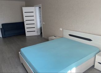 Аренда 1-ком. квартиры, 40 м2, Краснодарский край, улица имени Калинина, 13к63