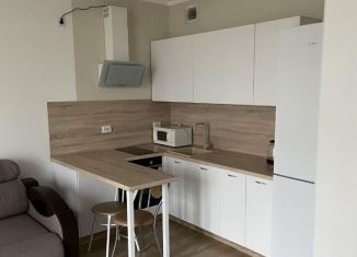 Сдается 1-ком. квартира, 44 м2, Екатеринбург, улица 8 Марта, 204Г, Чкаловский район