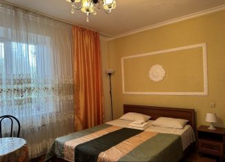 Квартира в аренду студия, 20 м2, Краснодар, улица КИМ