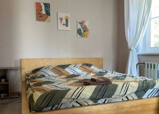 Сдается в аренду 1-ком. квартира, 35 м2, Кстово, Школьная улица, 8А