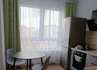 Сдается 1-ком. квартира, 32 м2, Екатеринбург, Полимерный переулок, 13