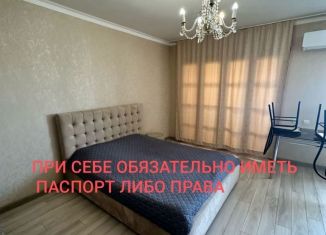 Сдается в аренду квартира студия, 45 м2, Нальчик, район Горная, улица Байсултанова, 18